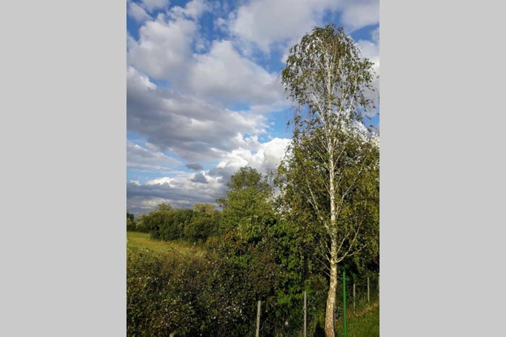 Entspannen im Dorf am See Zahren Exterior foto