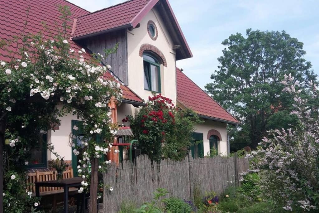 Entspannen im Dorf am See Zahren Exterior foto